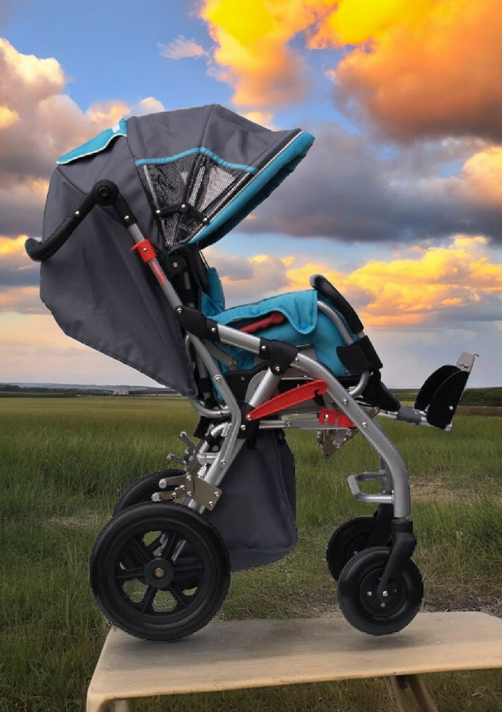 Poylin P990 Buggy Engelli Çocuk Puseti